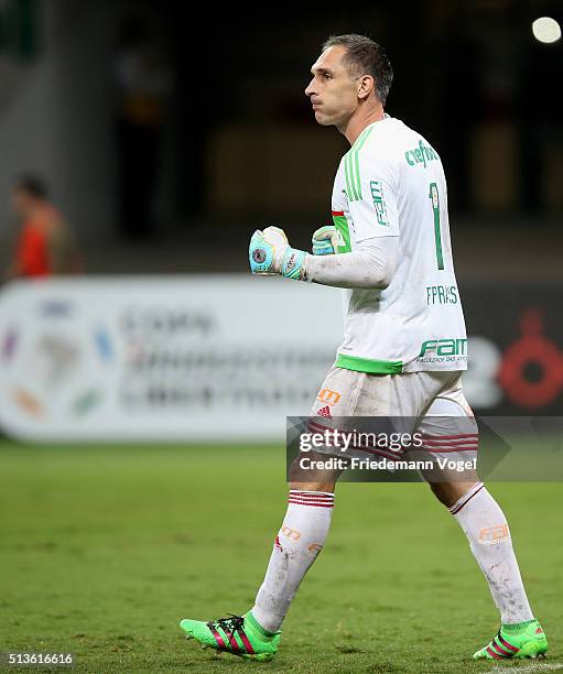 Fernando Prass of Palmeiras reacts during a match between Palmeiras and Rosario as part of Group 2 of Copa Bridgestone Libertadores at Allianz Parque...