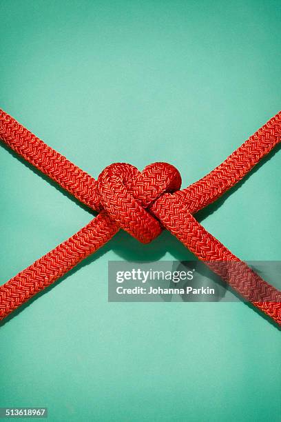 battle ropes tied into a heart shape - man tying tie stock-fotos und bilder