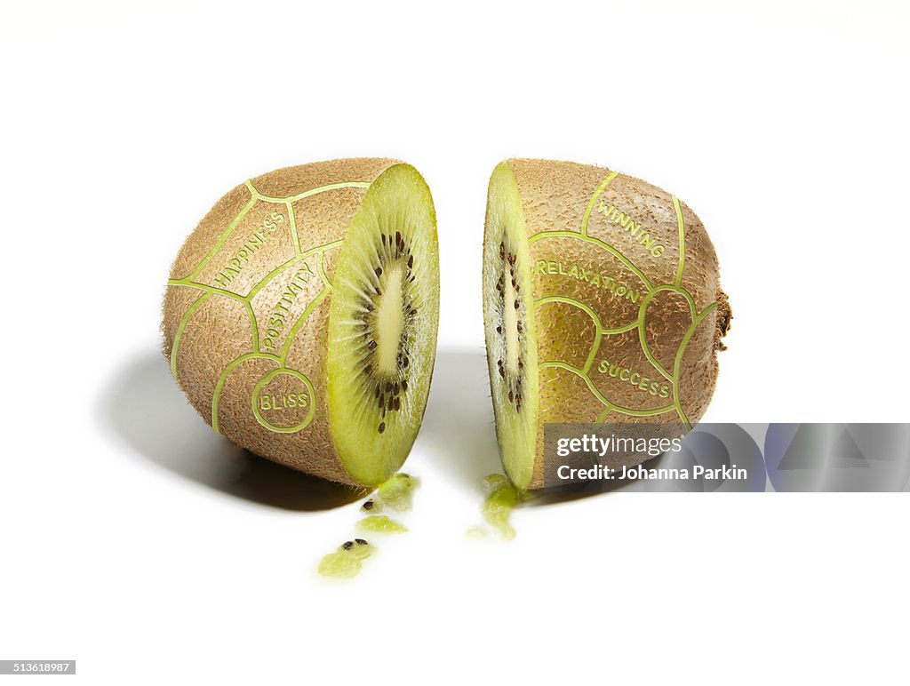 Kiwifruit divided into phrenology / brain sections