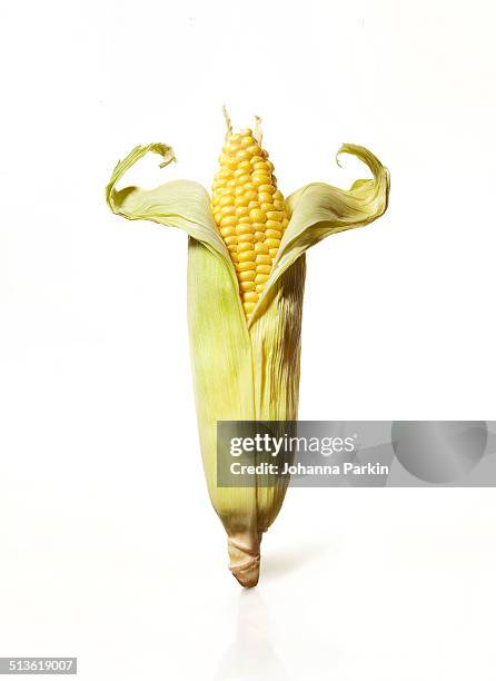 corn muscle-man - corn cob stock pictures, royalty-free photos & images