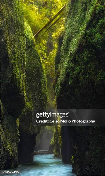 oneonta gorge - garganta de oneonta fotografías e imágenes de stock