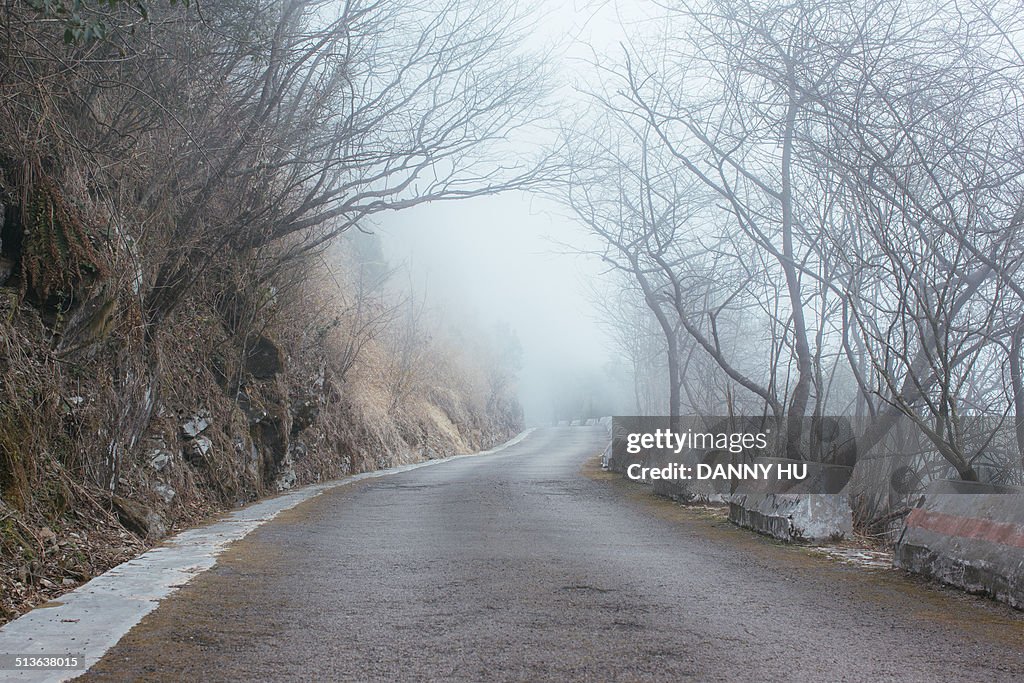 The misty road