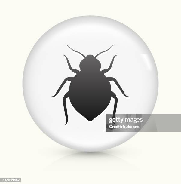 bedbug icon on white round vector button - bed bug white background stock illustrations