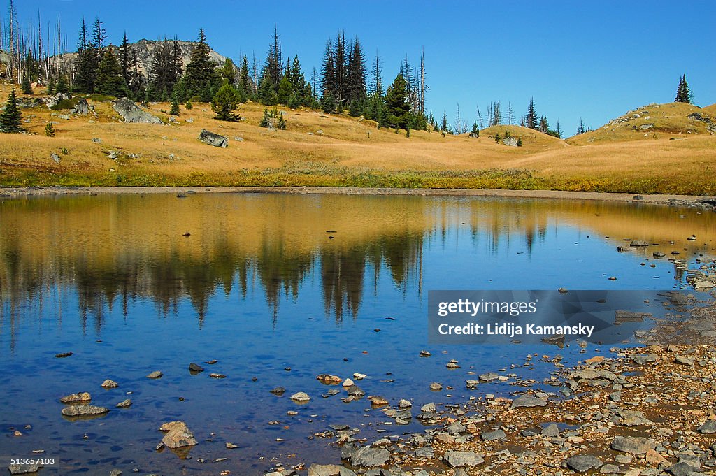 Autumn at Loudon Lake