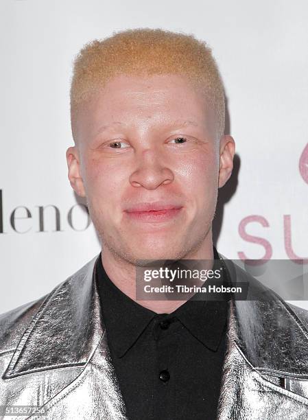 Shaun Ross attends The Dream Builders Project 3rd Annual 'A Brighter Future For Children' Charity Gala at Taglyan Cultural Complex on March 3, 2016...