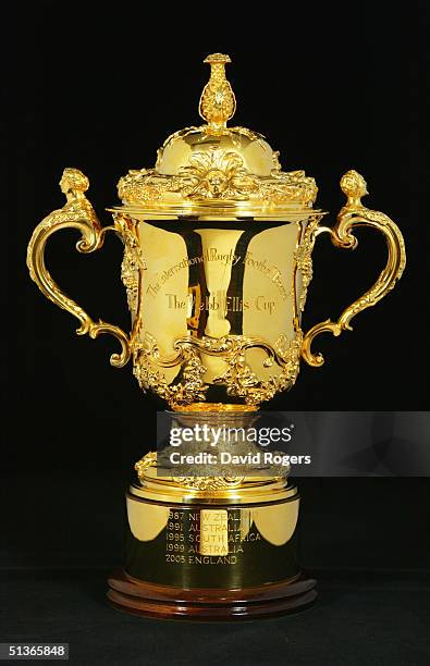 The Webb Ellis Trophy pictured at the headquarters of the International Rugby Board on August 11, 2004 in Dublin Ireland.