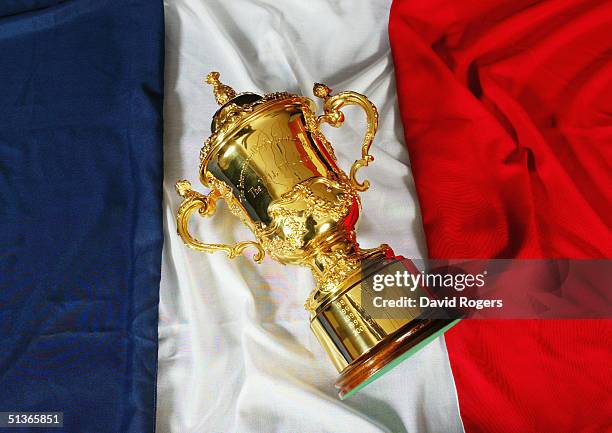 The Webb Ellis Trophy pictured at the headquarters of the International Rugby Board on August 11, 2004 in Dublin Ireland.