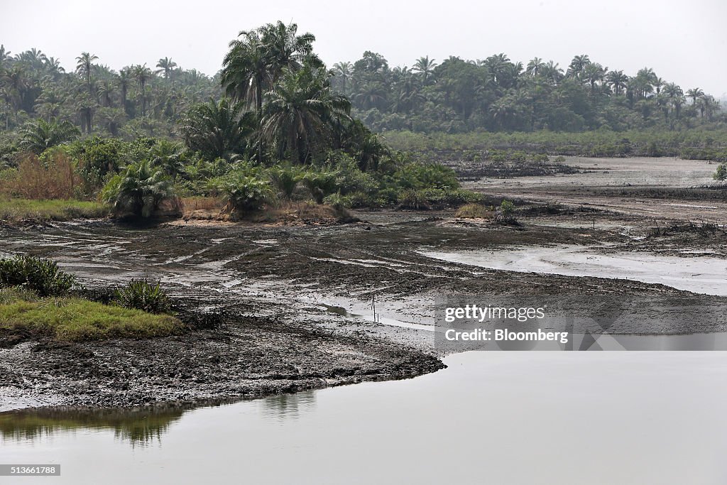 Local Economy And Oil Pollution In The Niger Delta