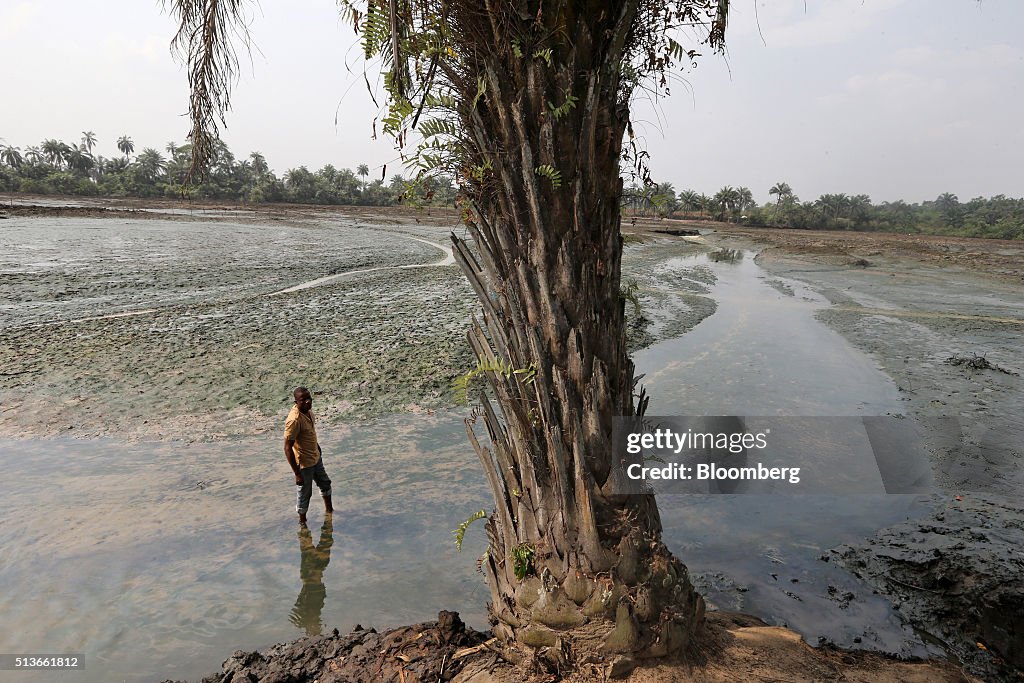 Local Economy And Oil Pollution In The Niger Delta