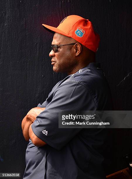 Coach Lloyd McClendon of the Detroit Tigers looks on prior to the Spring Training game against the New York Yankees at George M. Steinbrenner Field...