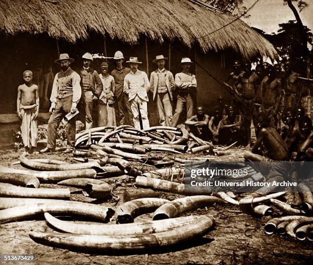 Belgian colonial period Congo. Africa became a centre for ivory hunting from elephants killed for sport or ivory, 1900.