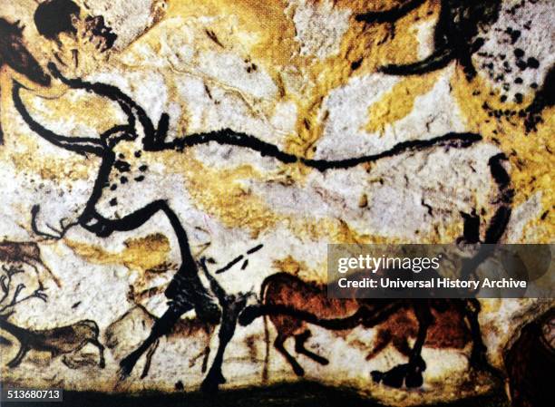 Bull and Cattle. Detail of a cave painting. Franco-Cantabrian, Upper Palaeolithic period 000-10,000 BC. Left wall of the rotunda in the cave at...