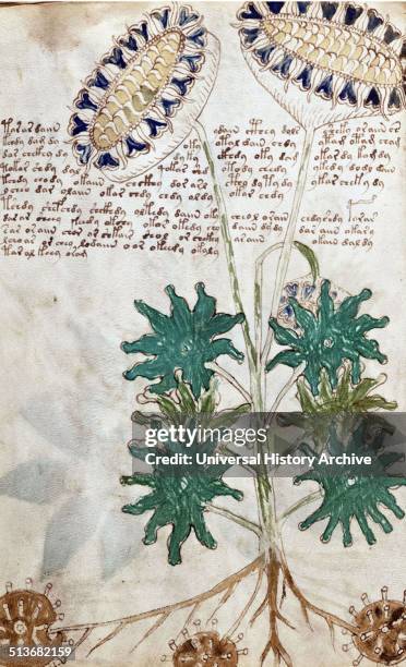 The Voynich Manuscript is considered by scholars to be most interesting and mysterious document ever found. Dated 16th century