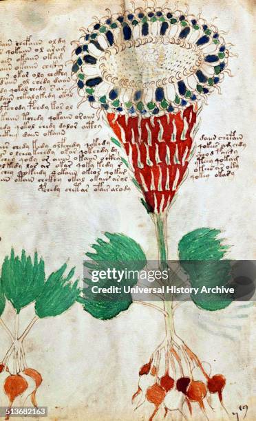 The Voynich Manuscript is considered by scholars to be most interesting and mysterious document ever found. Dated 16th century