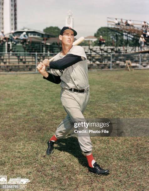 Ted Williams of the Boston Red Sox poses for an action portrait circa 1939-1960.