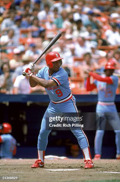 Terry Pendleton of the St. Louis Cardinals stands ready at the plate during a game on July, 1984 .