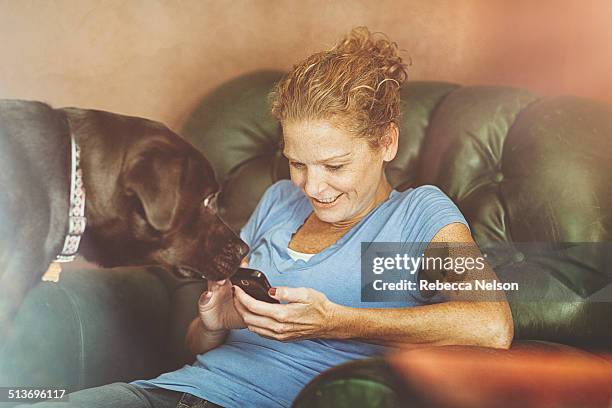 dog looks on as woman checks her smart phone - rockford stock pictures, royalty-free photos & images