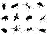 Bug Black Vector Silhouettes Illustration