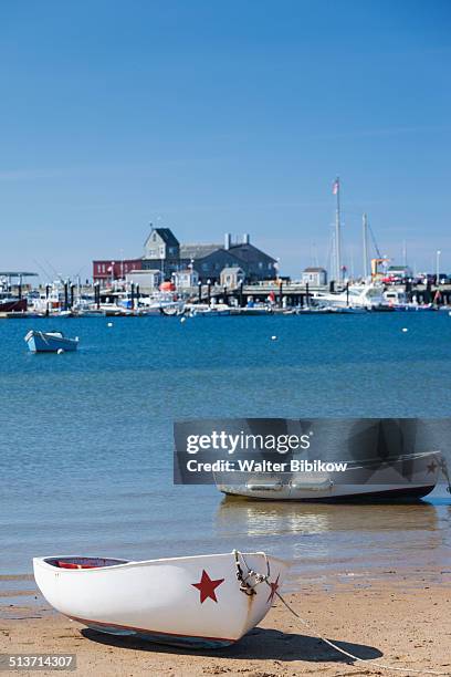 usa, massachusetts, cape cod - cape cod bildbanksfoton och bilder