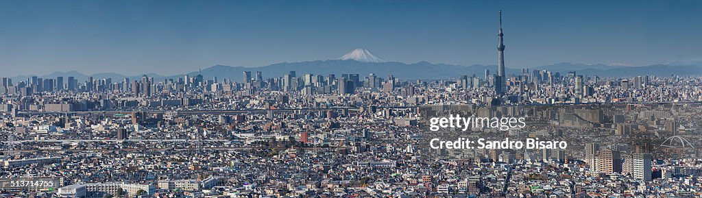 Tokyo Panorama with Fuji Mountain and Skytree