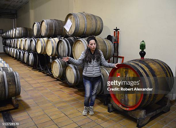 Tour guide shows a visiting group a room of wine aging barrels at the Palagetto winery in San Gimignano, in the Tuscany region of Italy. The region...
