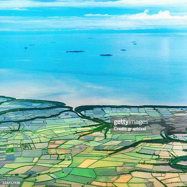 rice growing areas in coastal plain, indonesia - sulawesi stock pictures, royalty-free photos & images