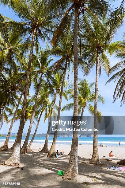 playa samara, nicoya peninsula, guanacaste, costa rica - playa carrillo stock pictures, royalty-free photos & images