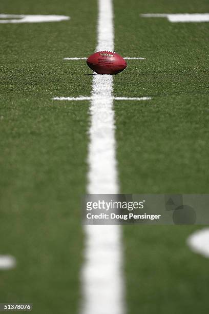 Close-up view of the field before the game between the Baltimore Ravens and the Pittsburgh Steelers at M&T Bank Stadium on September 19, 2004 in...