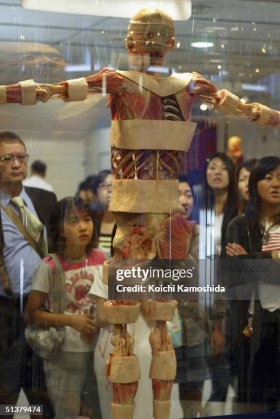 Visitors gaze at a preserved plastomic whole body specimen at the "Mysteries of the Human Body" exhibition which displays some 170 specimens on...