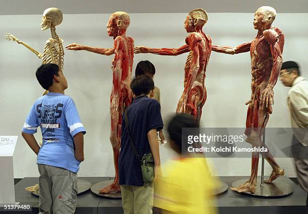 Visitors gaze at preserved plastomics of whole body specimens of the musculo-skeletal system at the "Mysteries of the Human Body" exhibition which...