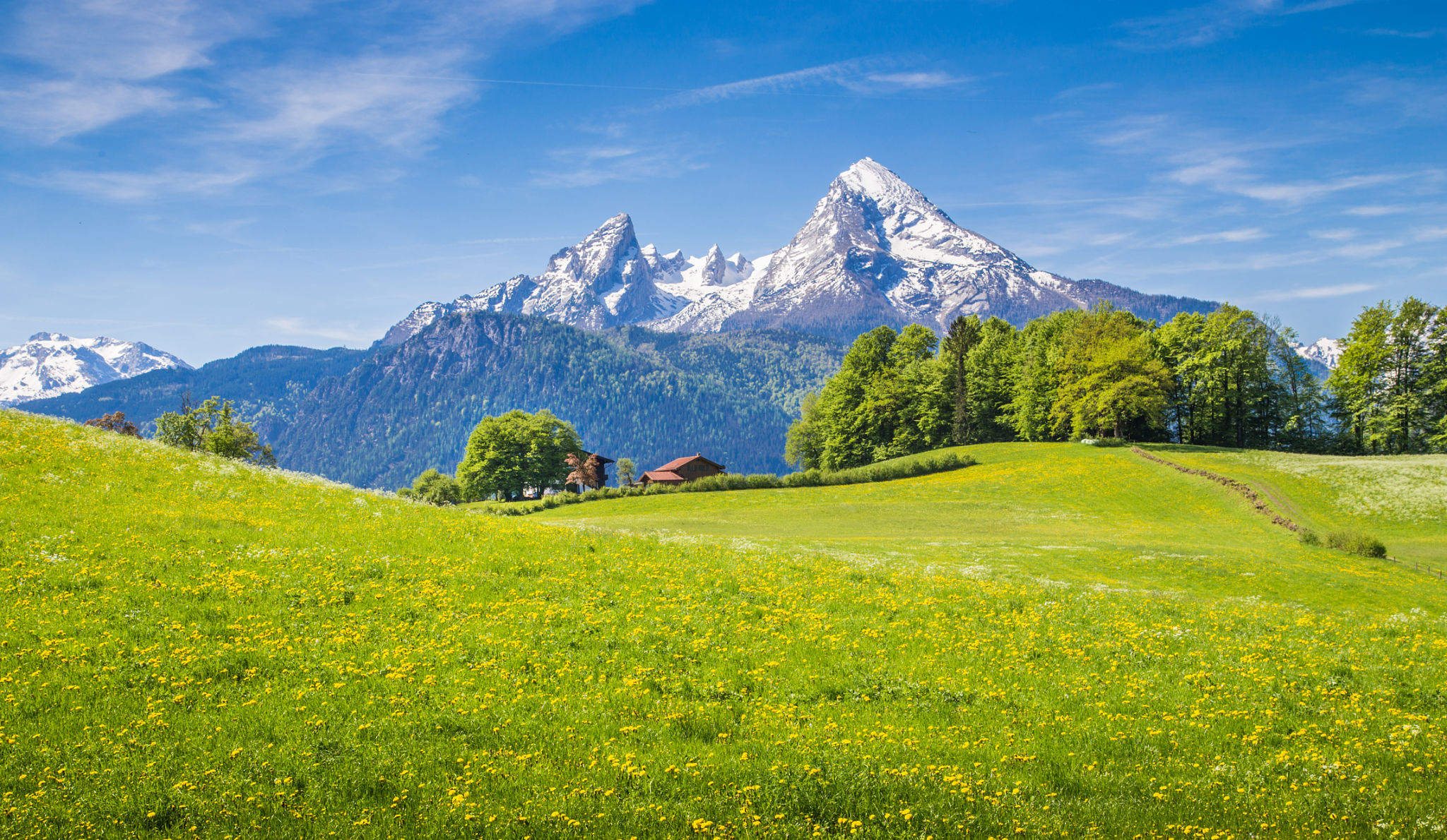 alpine landscape