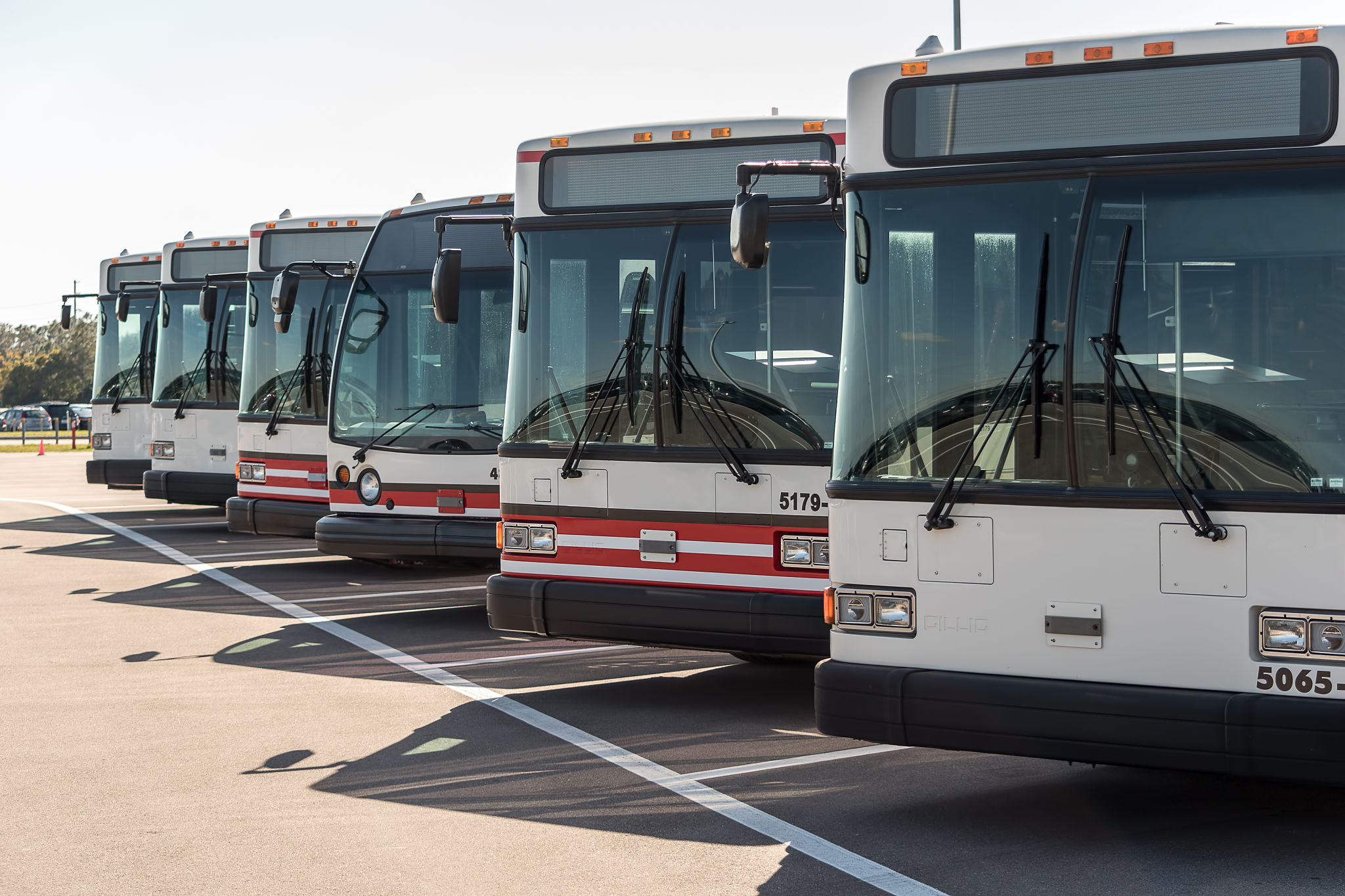 group transport
