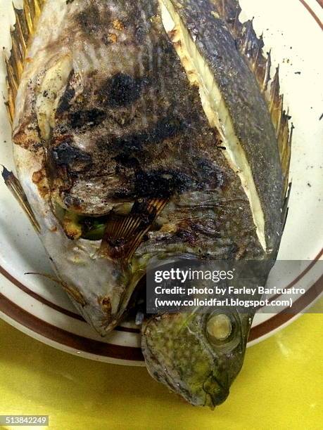 Fried Rabbitfish 162 Rabbitfish Stock Photos, High-Res Pictures, and Images - Getty Images