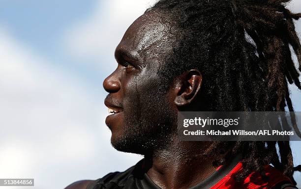 Anthony McDonald-Tipungwuti of the Bombers looks on during the 2016 NAB Challenge match between the Essendon Bombers and the Geelong Cats at Deakin...