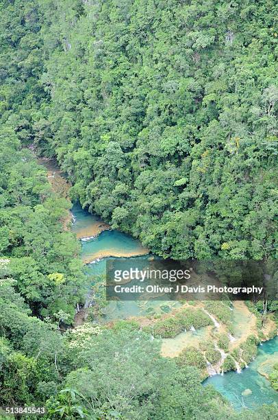 pools, waterfalls and forest of semuc champey - semuc champey stock pictures, royalty-free photos & images