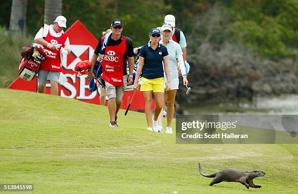 An otter runs in front of the group of Stacy Lewis and Jessica Korda of the United States on the 14th hole during the third round of the HSBC Women's...