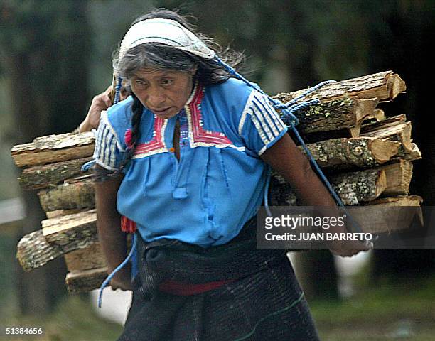 Una mujer indigena carga madera en la localidad de San Juan Chamula, al sureste de Ciudad de Mexico el 02 de octubre de 2004. El estado de Chiapas...