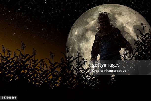 silhouette of a scarecrow in cornfield - halloween moon stock pictures, royalty-free photos & images