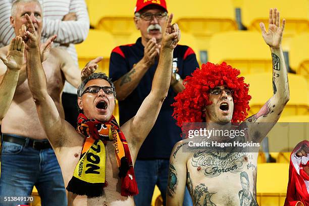 Adelaide United fans show their support during the round 22 A-League match between the Wellington Phoenix and Adelaide United at Westpac Stadium on...