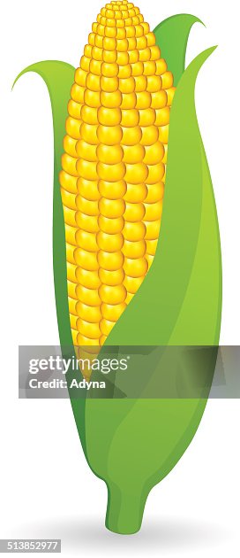 Corn Corn
