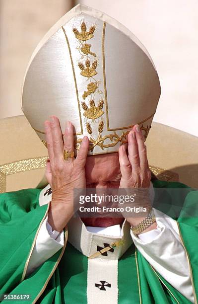 pope conducts beatification ceremony in st peters square - pope conducts beatification ceremony in st peters square stock-fotos und bilder