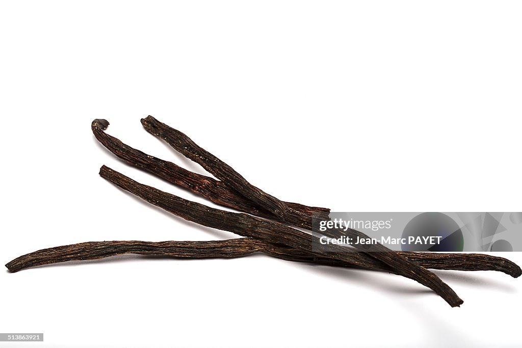 Stalks of vanilla