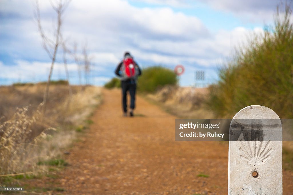 Way of St James in Palencia