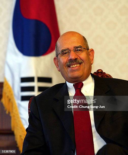 Nuclear watchdog chief Mohamed ElBaradei talks with South Korean Prime Minister Lee Hai-Chan during their meeting at the government complex building...