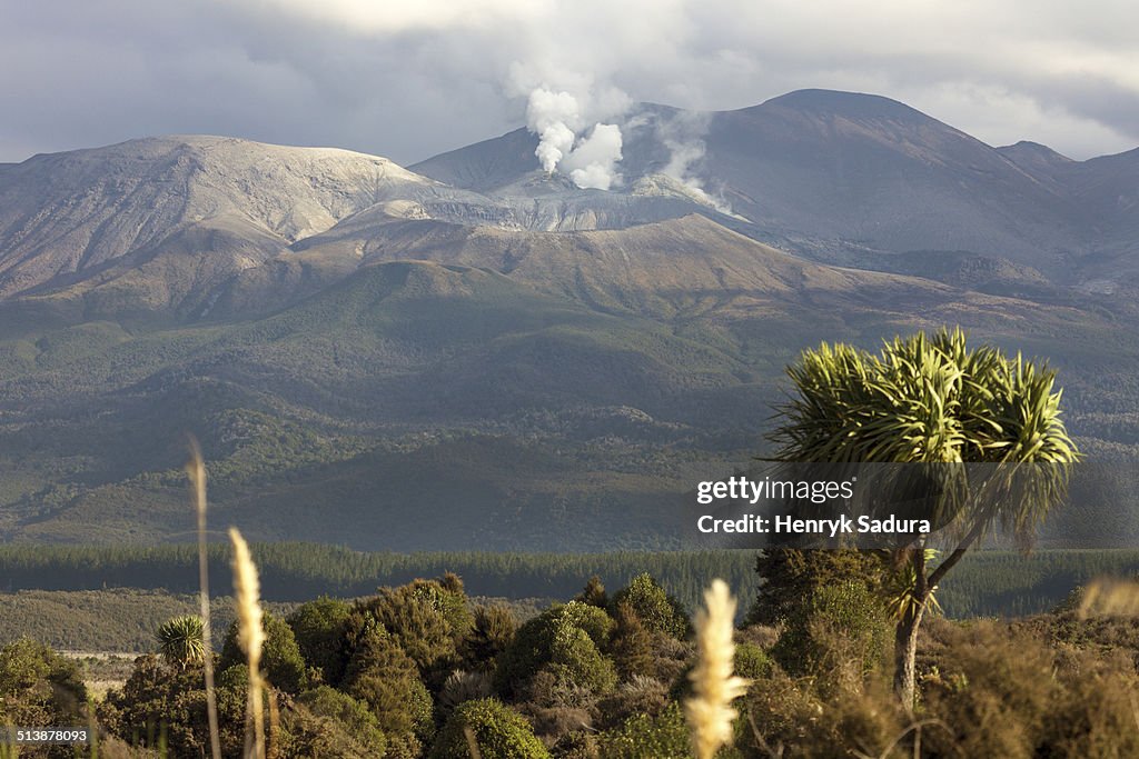 Volcano in Tongariro National Park