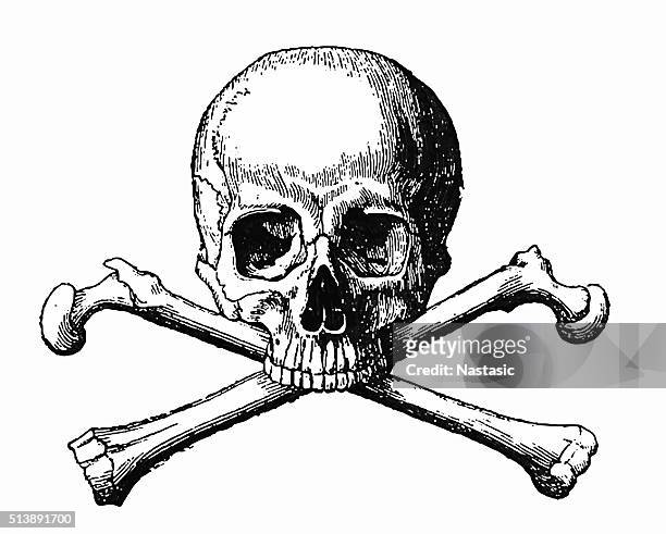 human skull and bones - engraved image stock illustrations