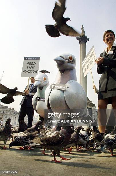 Pigeons take flight in front of two 7ft tall costumed pigeons in Trafalgar Square in London 10 May 2001. The giant pigeons were in the square to...