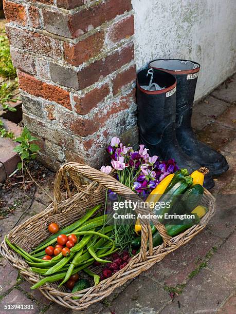 Kent, basket of freshly picked vegetables by Wellington boots