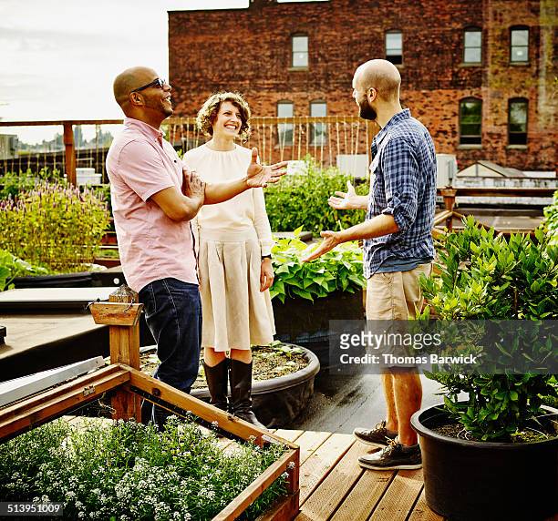 three laughing friends in discussion on rooftop - drei erwachsene stock-fotos und bilder