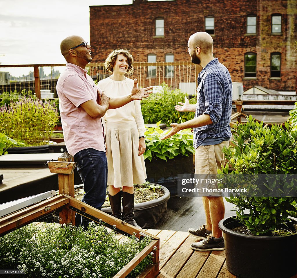 Three laughing friends in discussion on rooftop